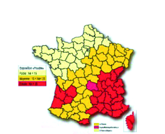 France 1.jpg